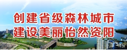 肏屄视频在线网站创建省级森林城市 建设美丽怡然资阳